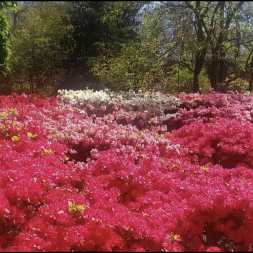 Screenshot_20240405-152304