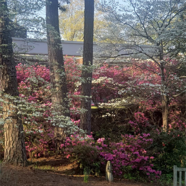 Screenshot_20240405-152412